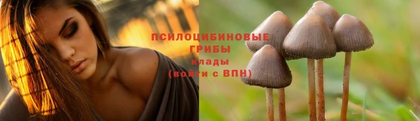 кокаин перу Алексин